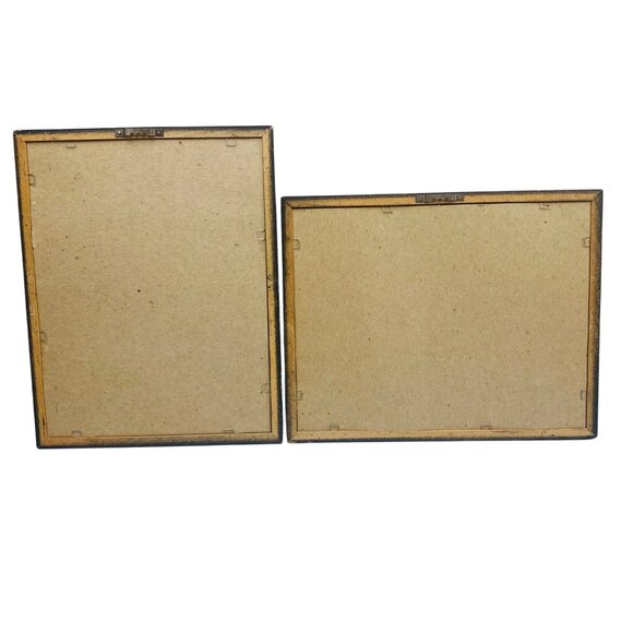 Vintage 1997 Hale-Bopp Comet Original Photographs 8x10" Set Of 2 Framed - Picture 5 of 6